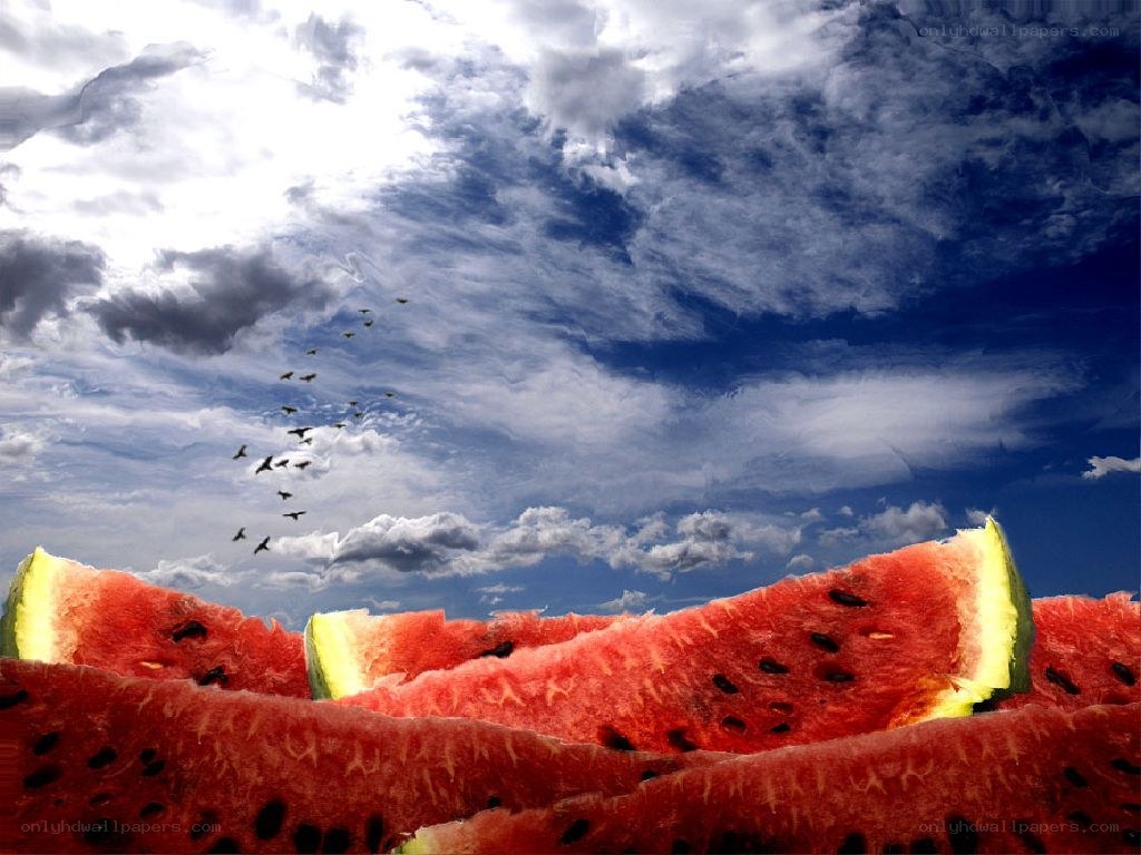 Watermelon slices under cloudy sky