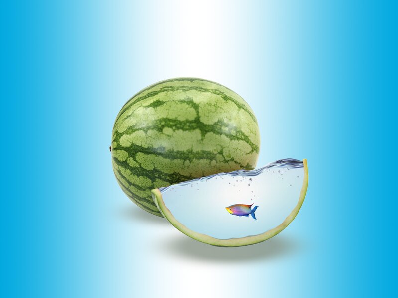 Watermelon with Fish