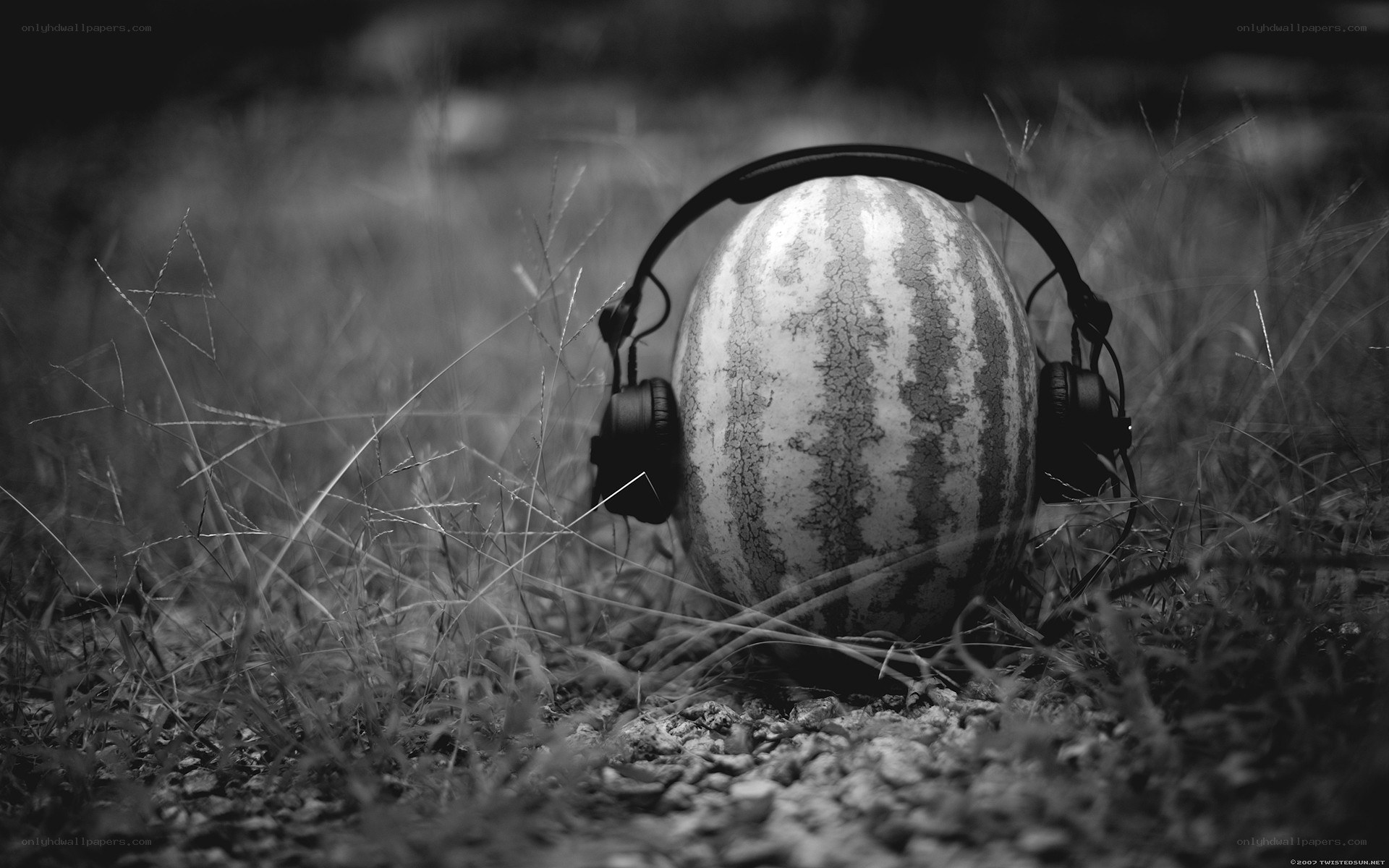 Watermelon with headphones