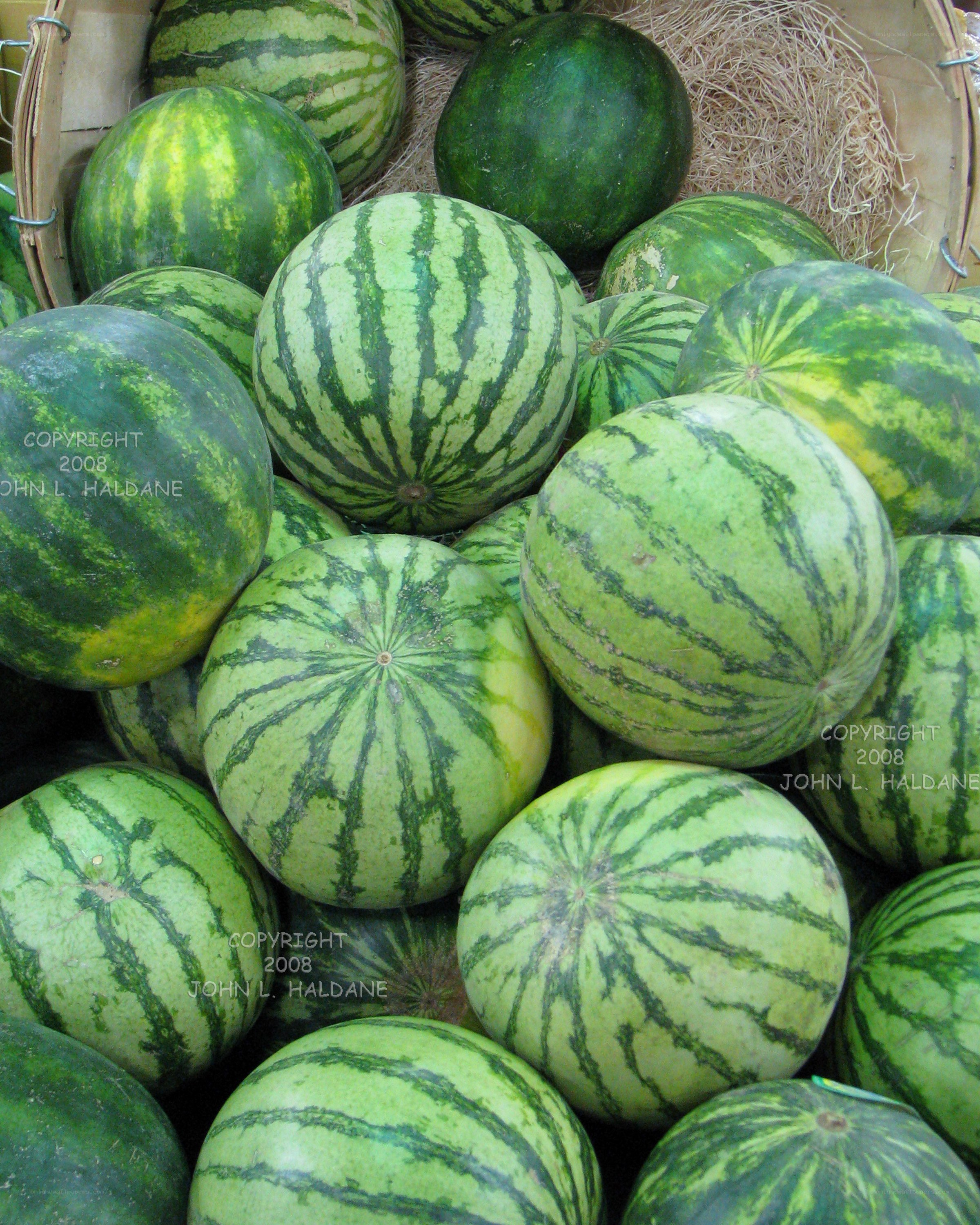 Watermelons at a market