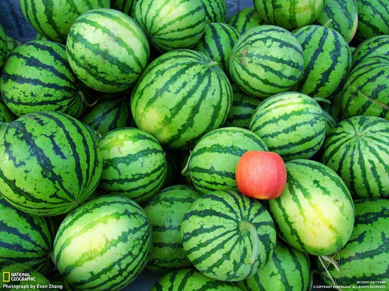 Watermelons with a red apple