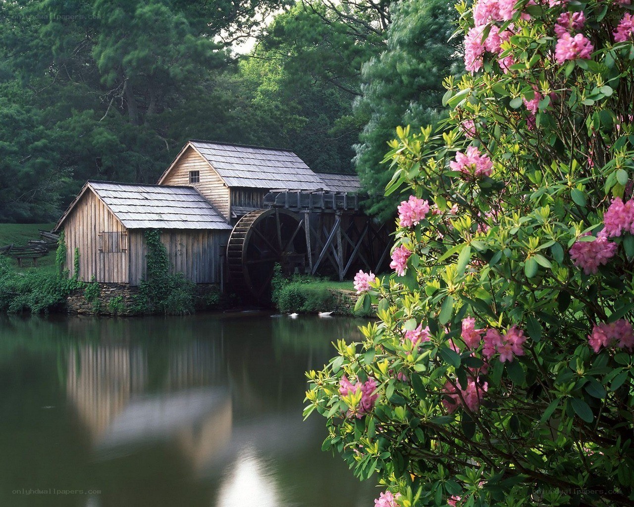 Watermill by a river
