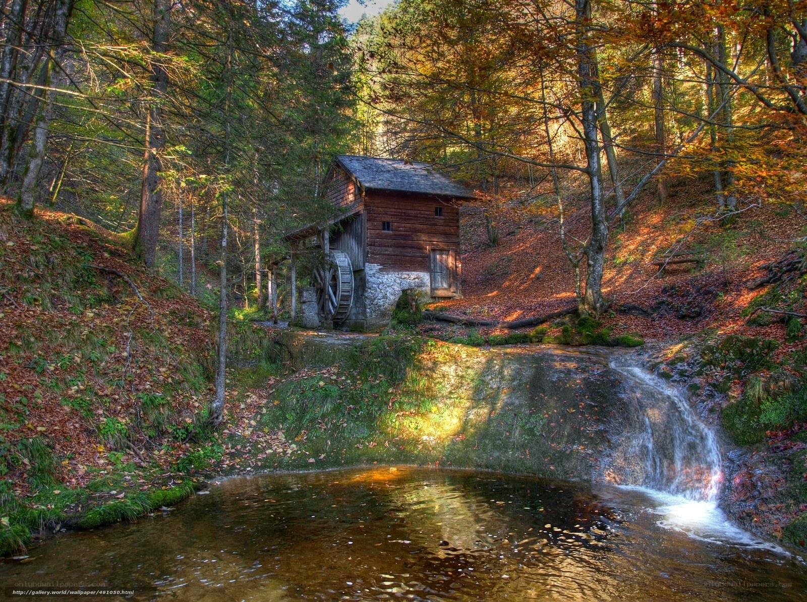Watermill in autumn forest