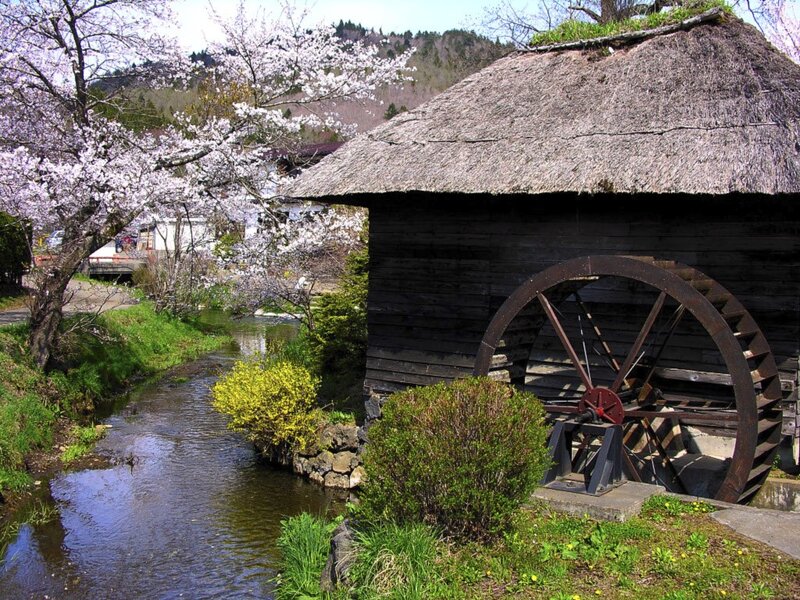 Watermill with cherry blossoms