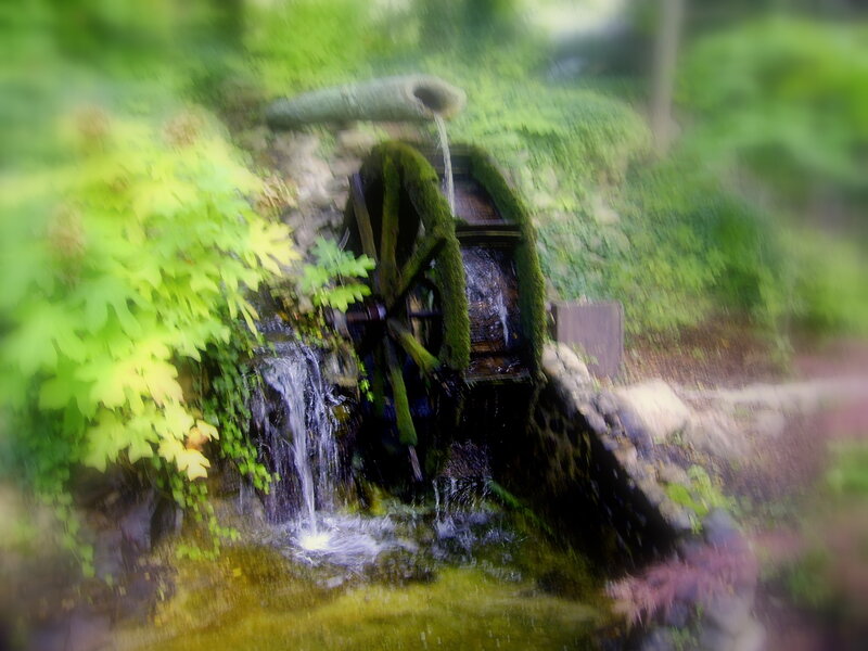 Waterwheel in a lush garden