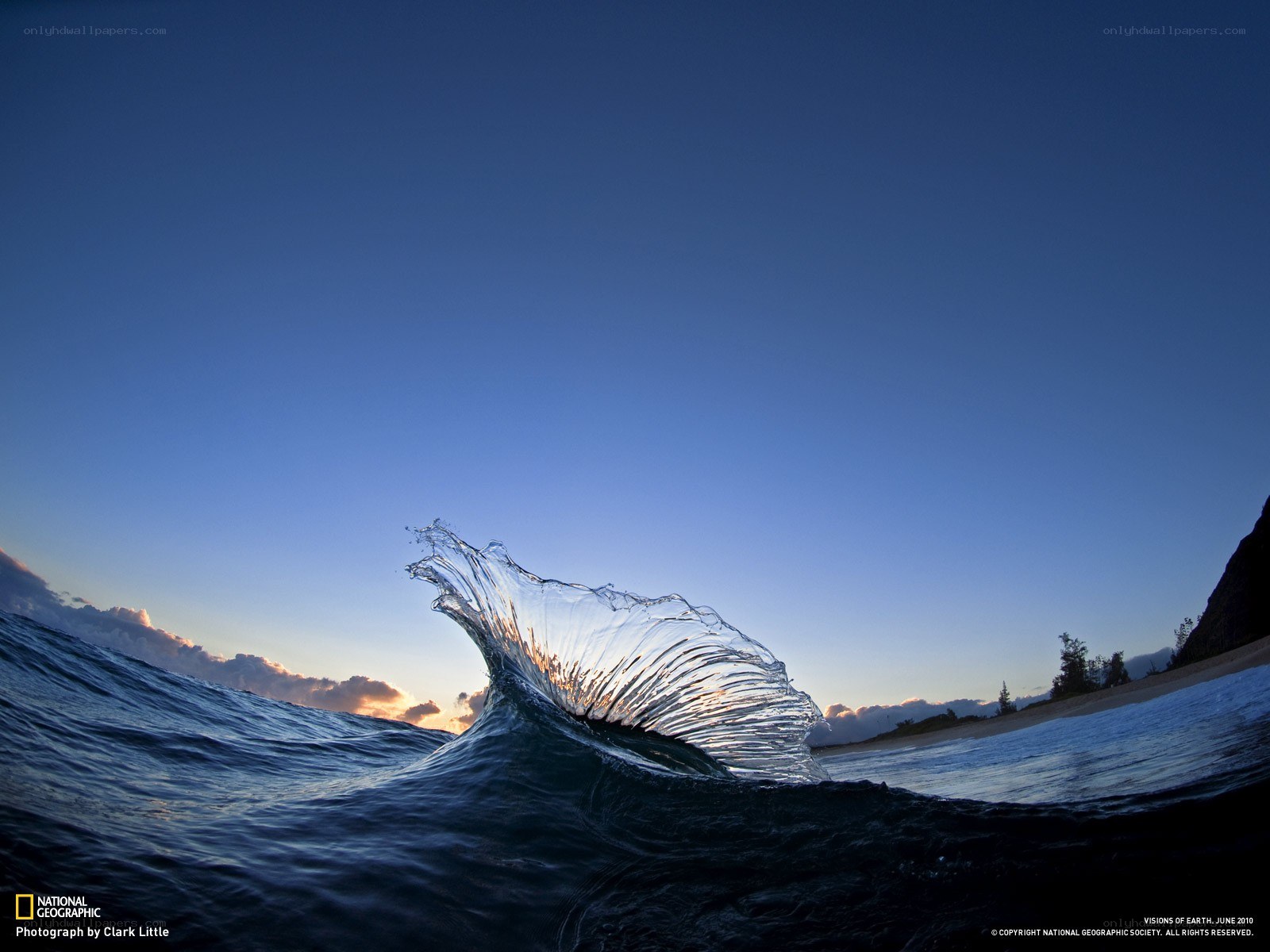 Wave at sunset on a beach