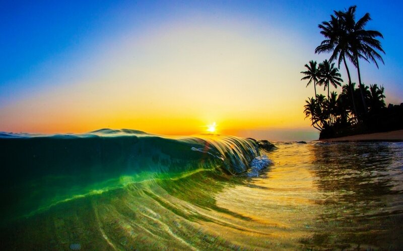 Wave at Tropical Beach