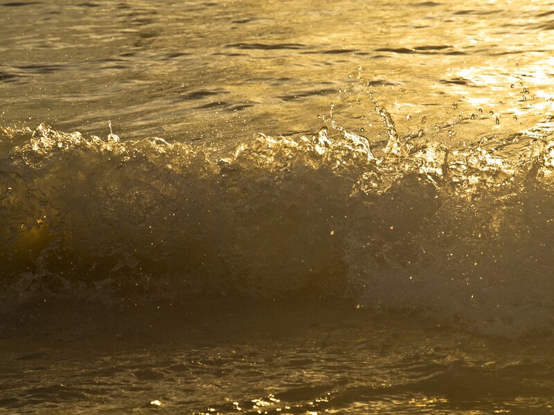 Wave Crashing at Sunset — Gold