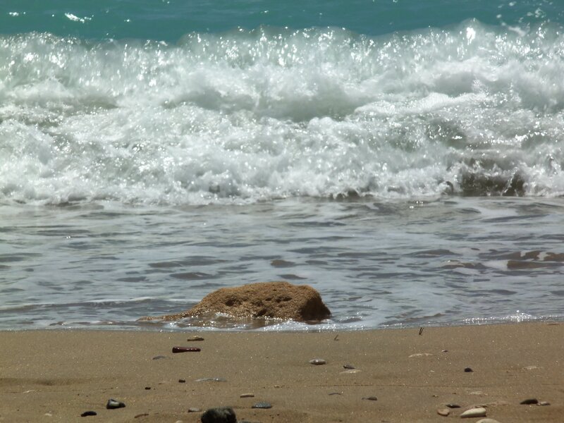 Wave Crashing on Beach — Blue, Calm