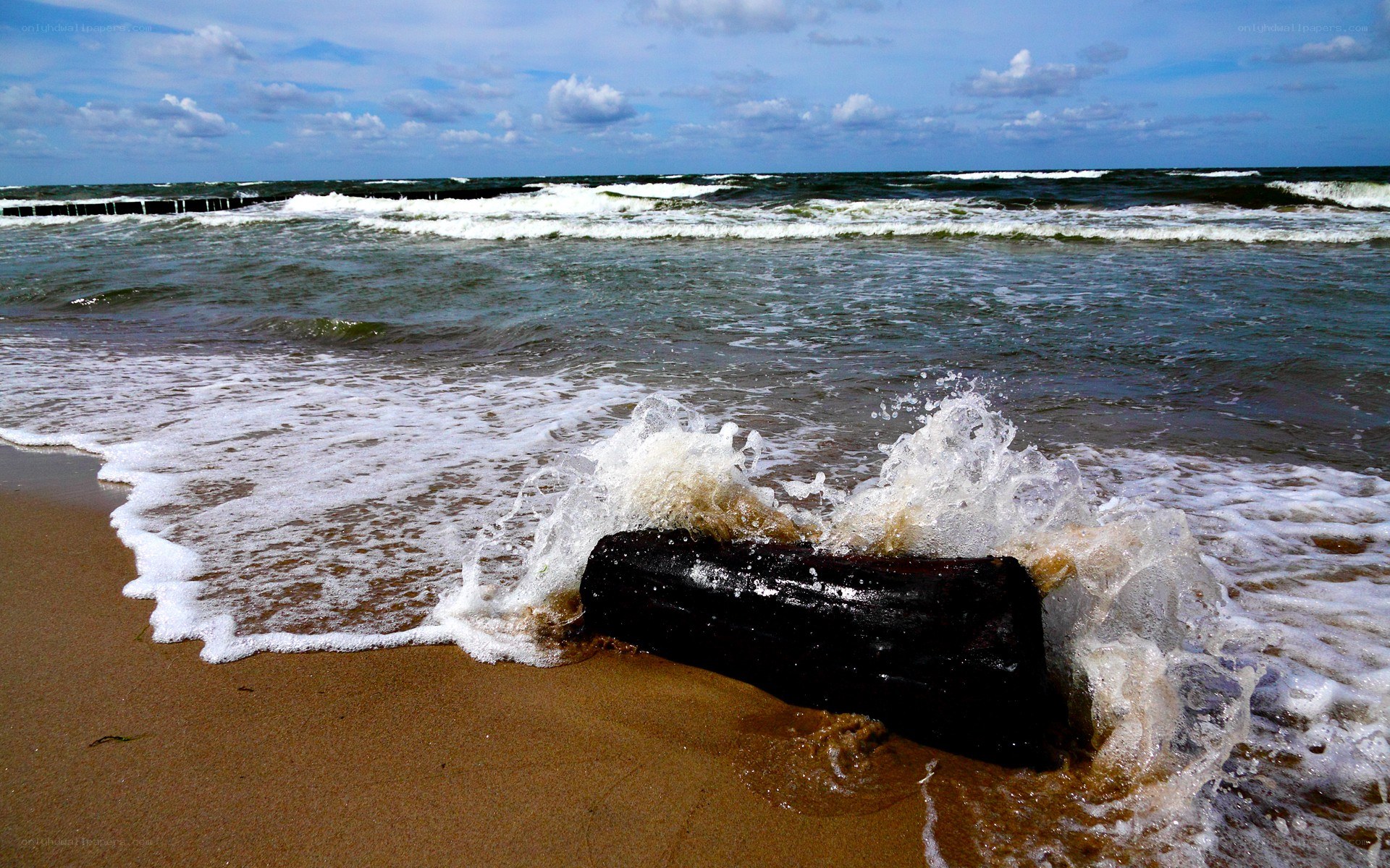 Wave crashing on log at beach