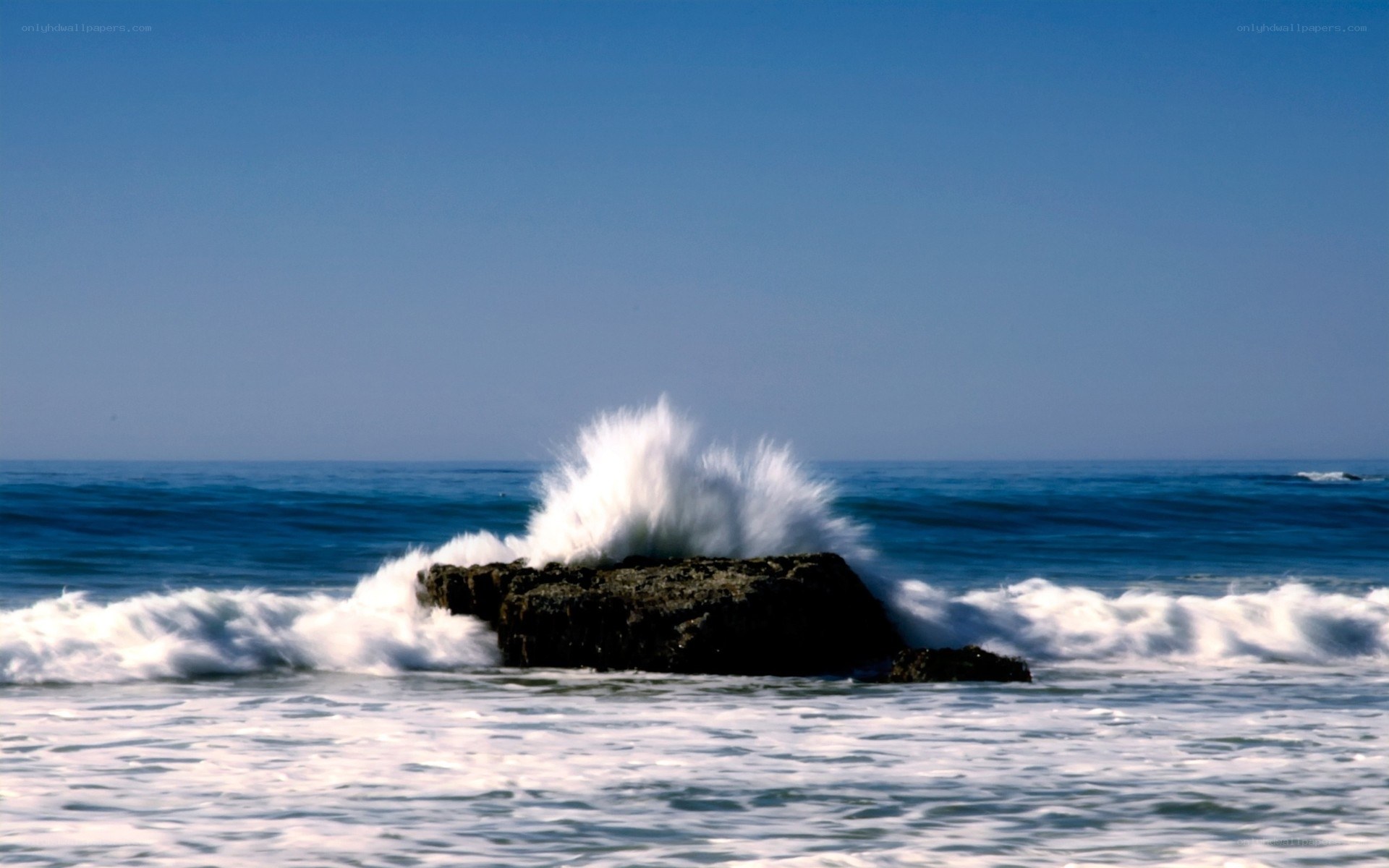 Wave crashing on rock