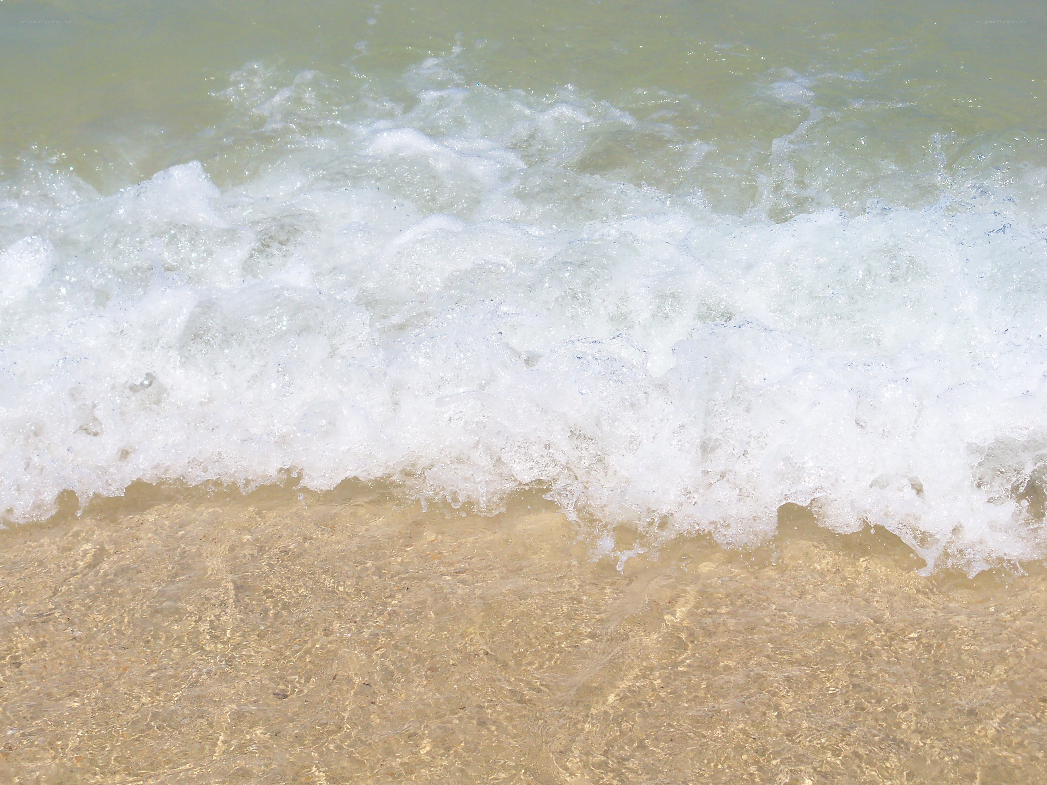 Wave crashing on sandy beach