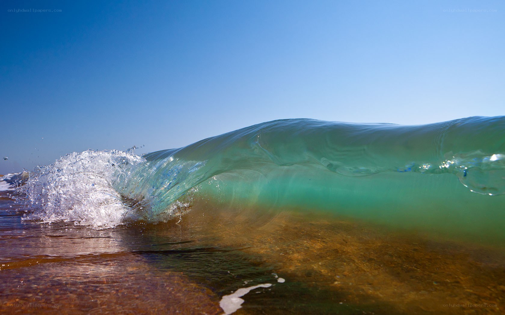Wave crashing on shore