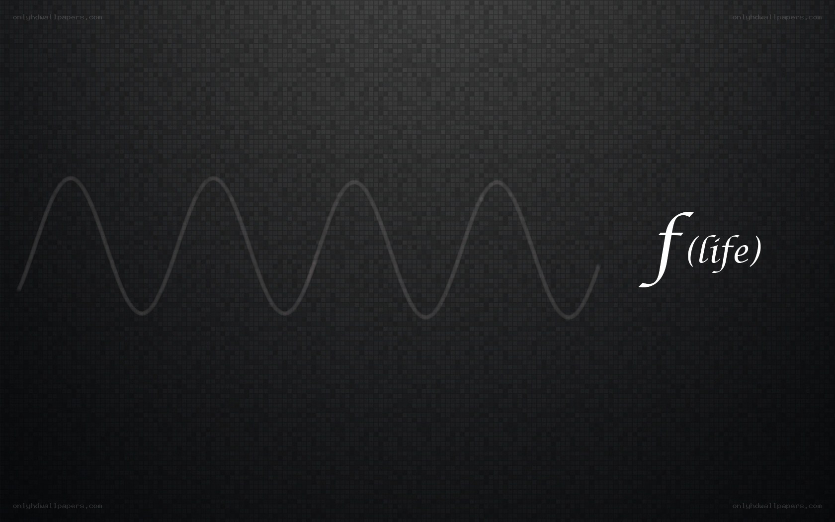 wave function of life