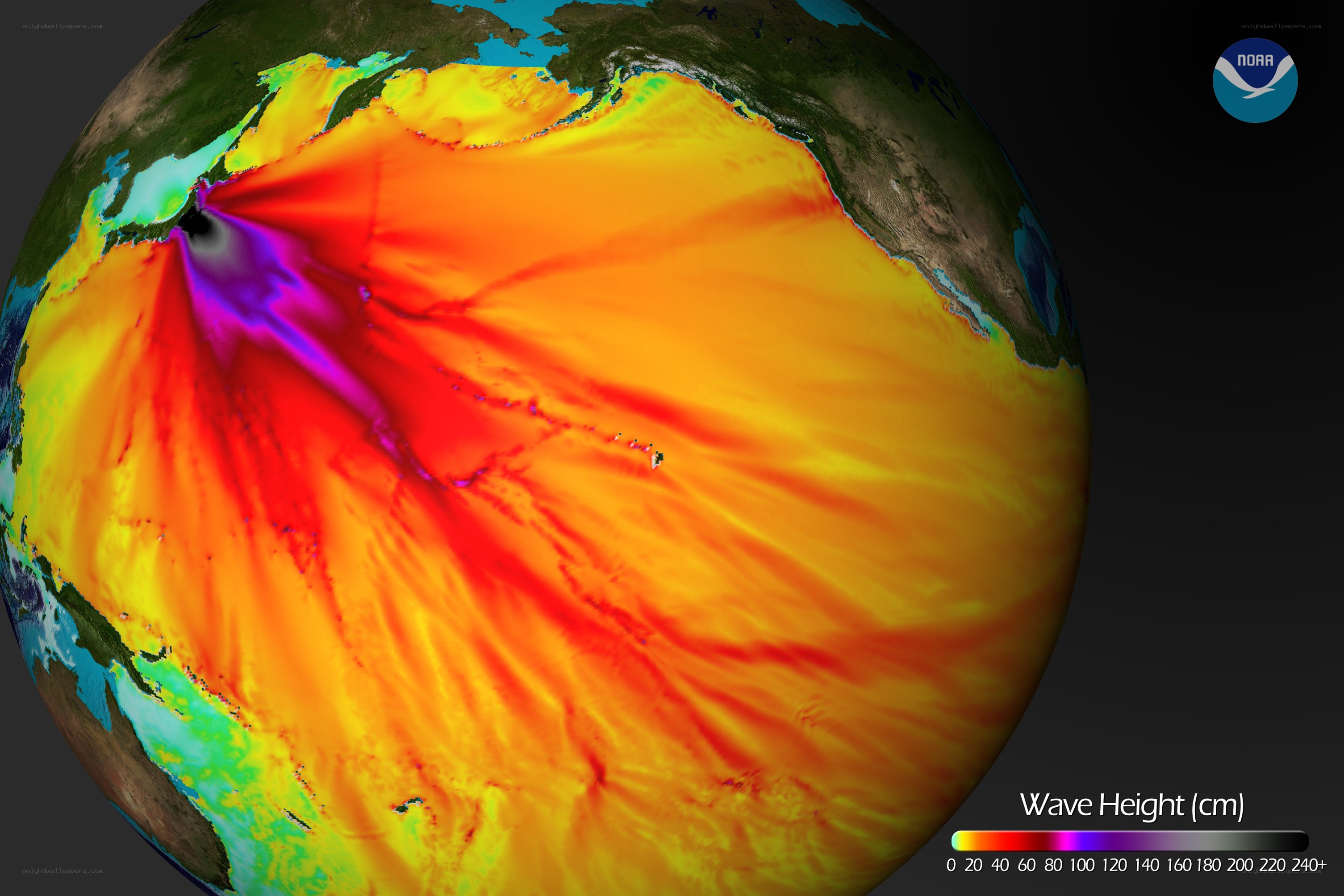 Wave height map of Pacific