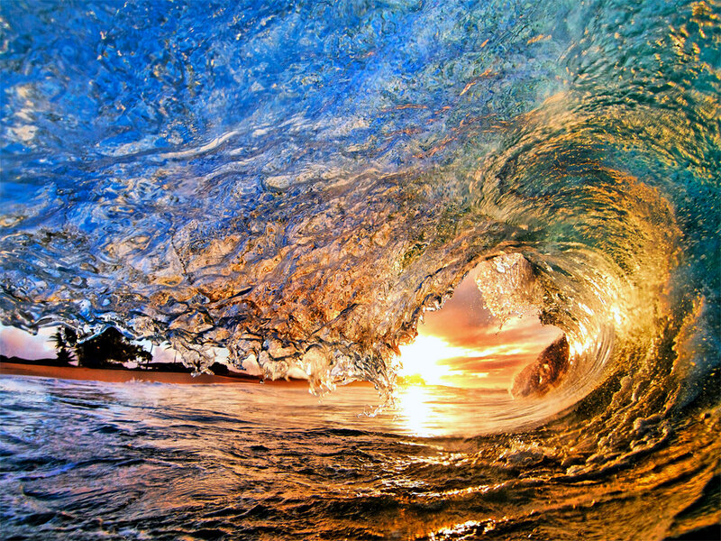Wave Tunnel at Sunset — Blue, Dramatic, Photograph, Sun, Beach, Trees