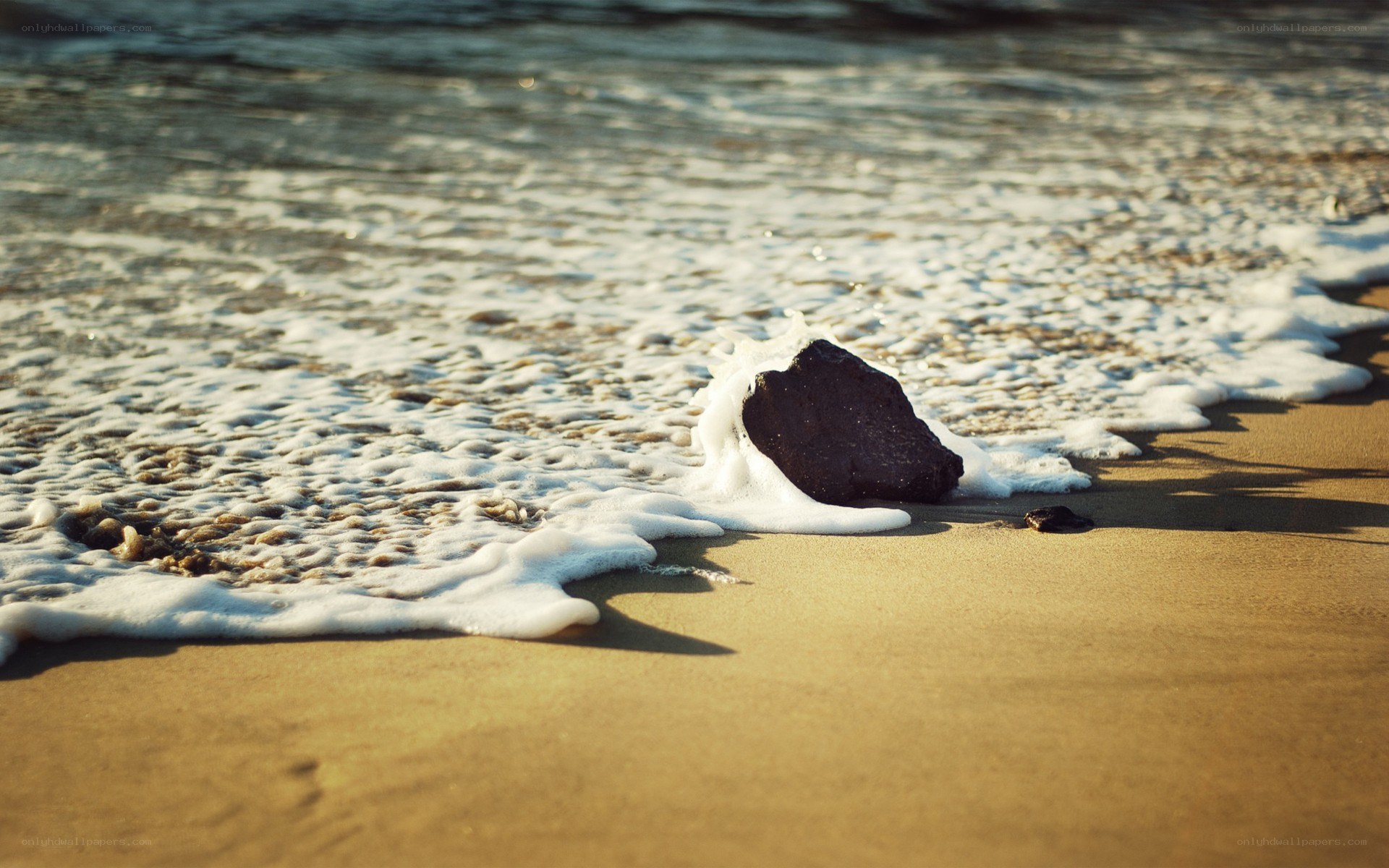 Wave washing over a rock