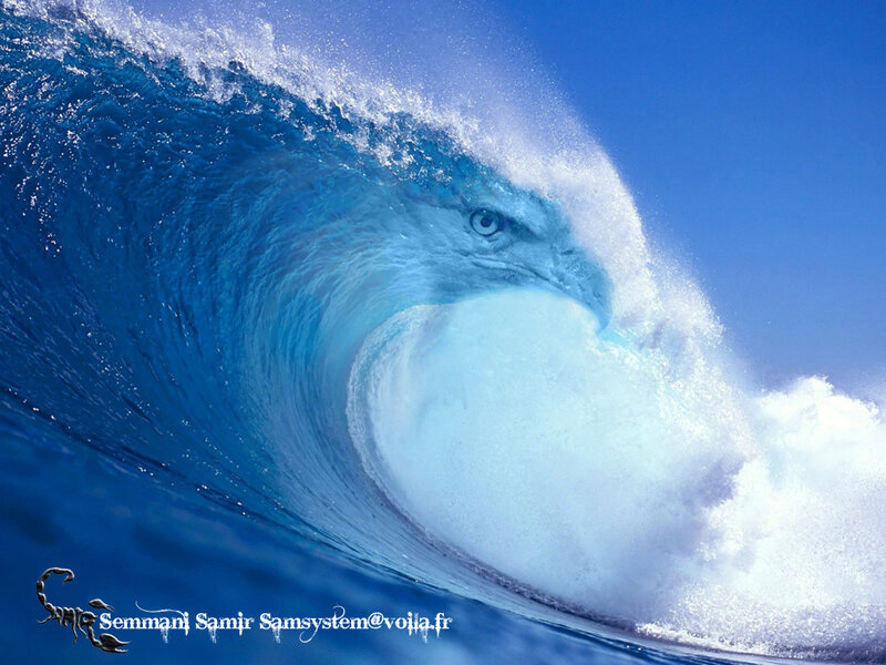 Wave with eagle face