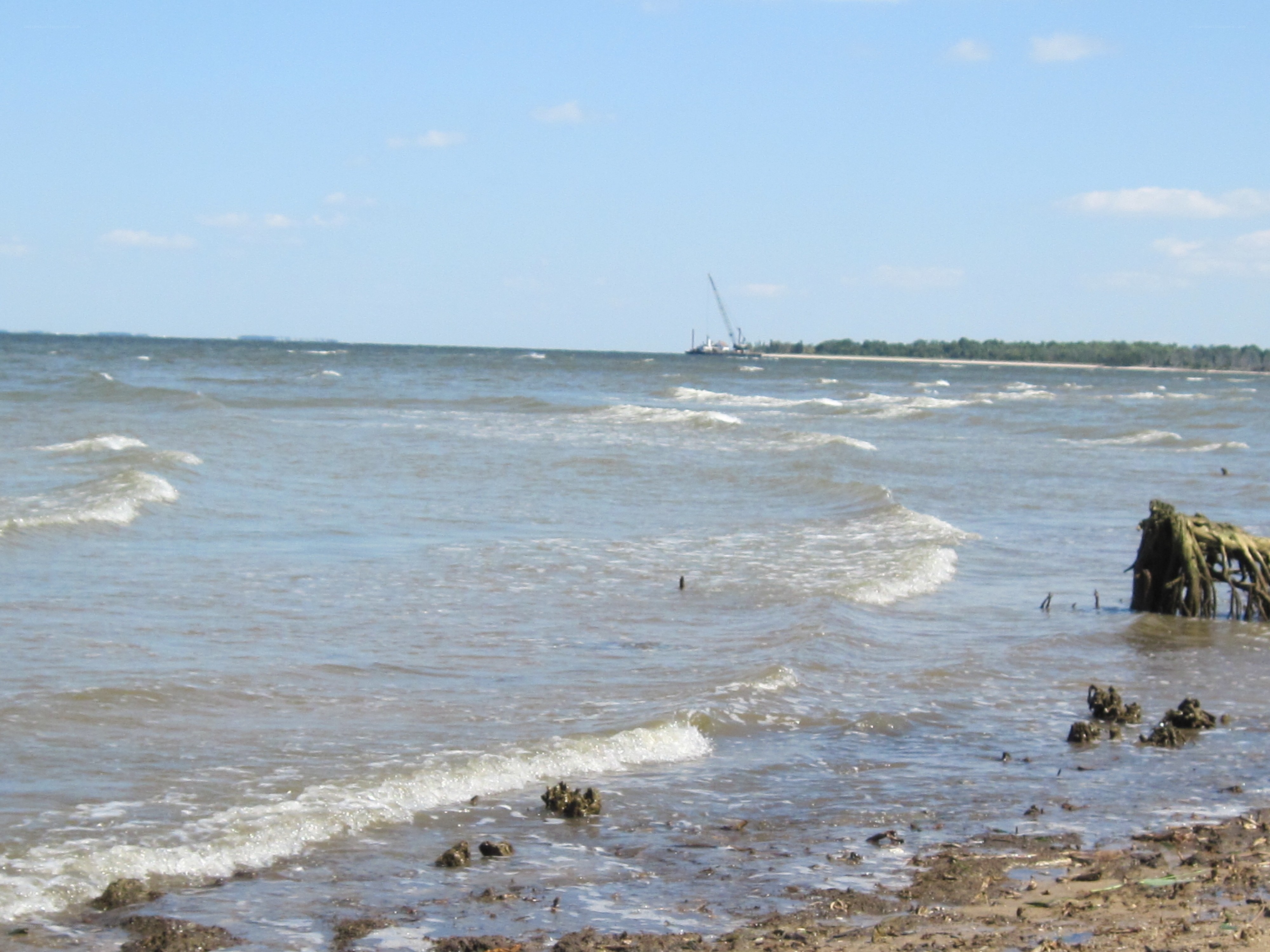 Waves at a muddy shoreline
