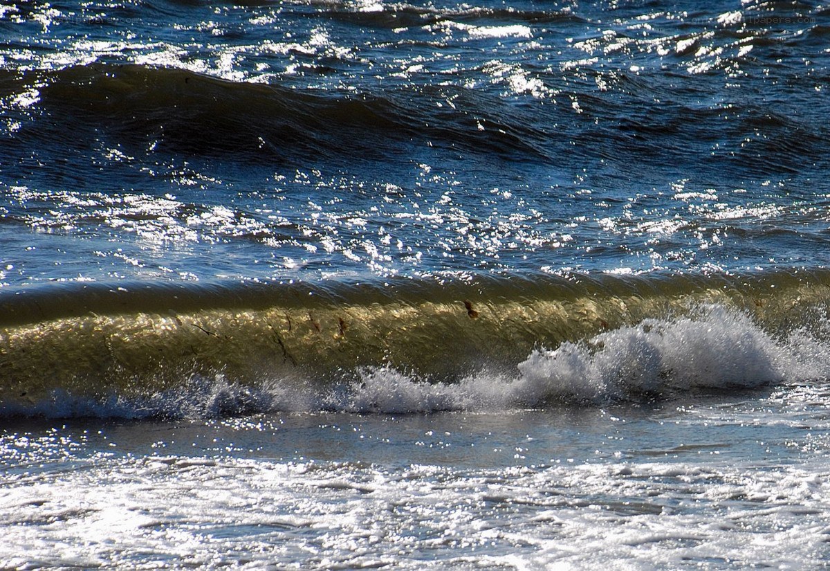 Waves breaking on the shore