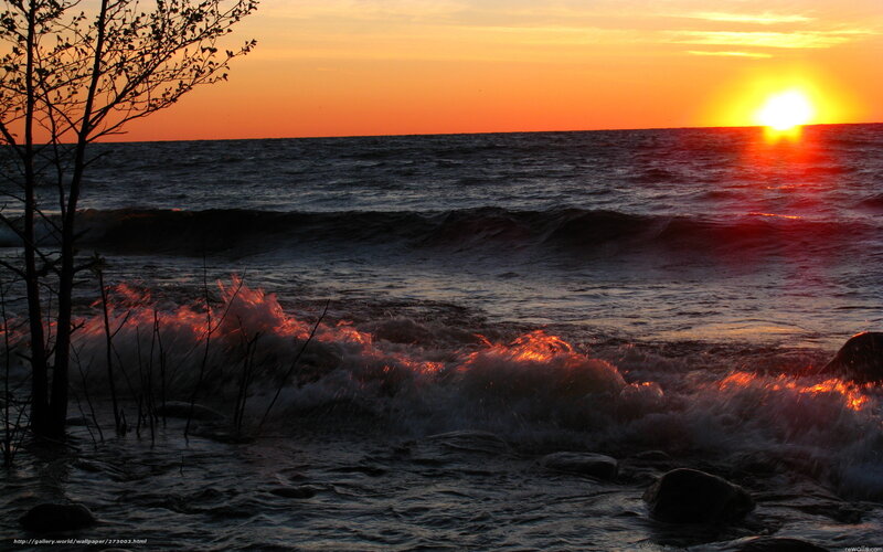 Waves Crashing at Sunset — Orange, Dramatic, Photograph, Tree
