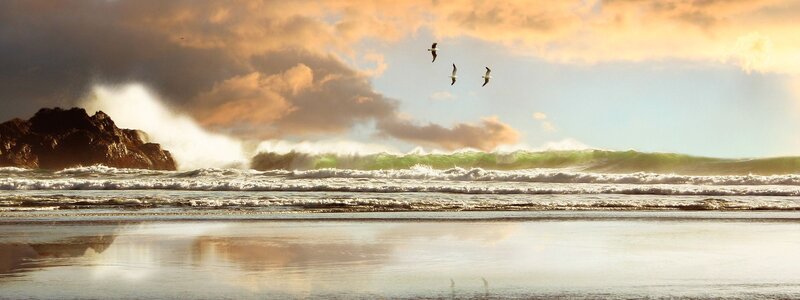Waves Crashing on Beach — Orange, Dramatic, Sunset, Photograph, Birds