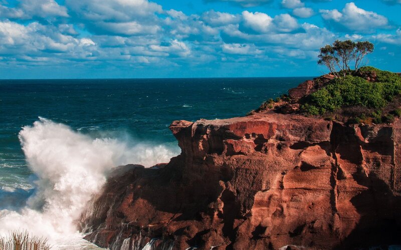 Waves Crashing on Cliffs — Blue, Dramatic, Afternoon, Photograph, Ocean, Trees