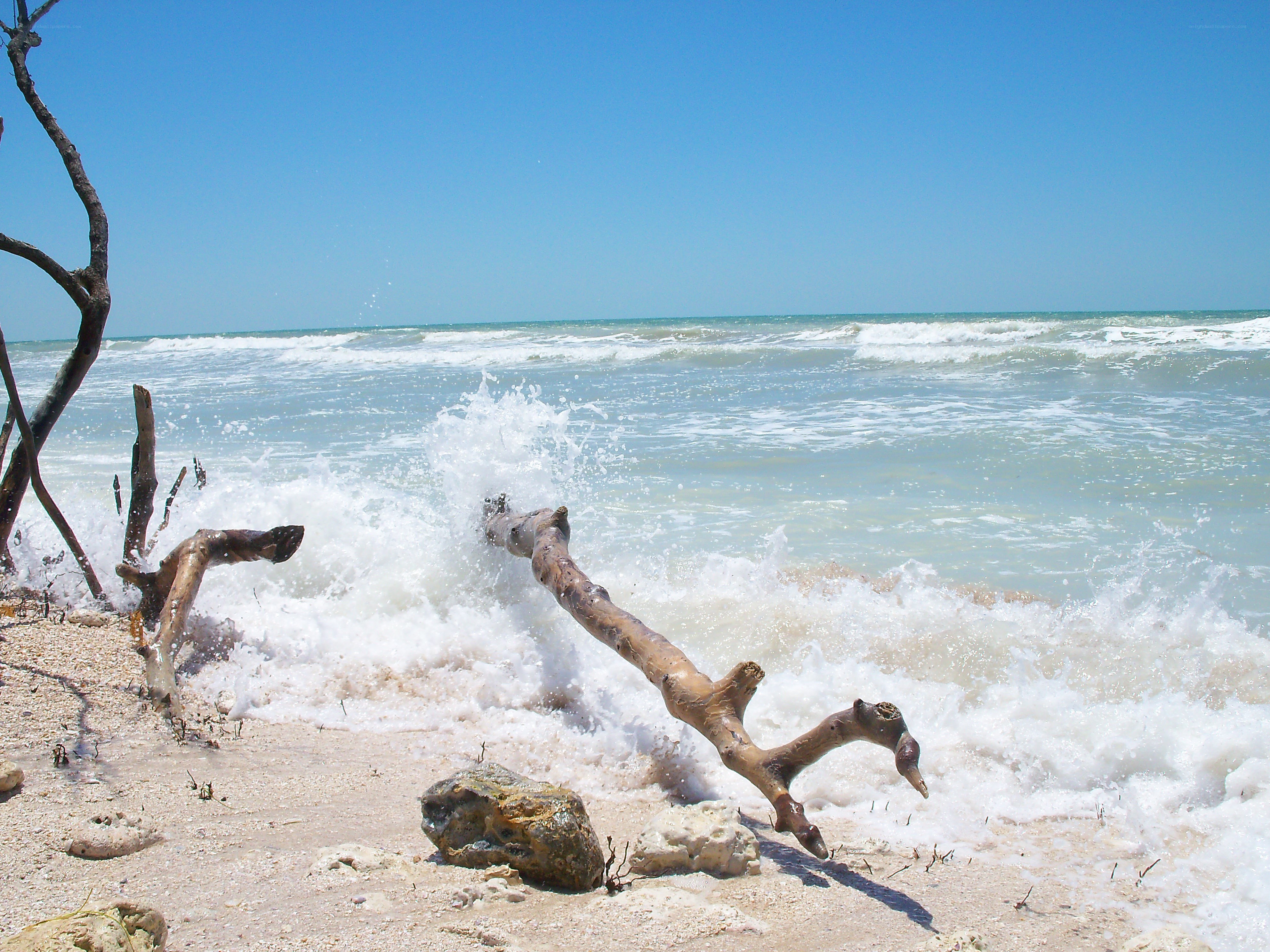 Waves crashing on driftwood beach