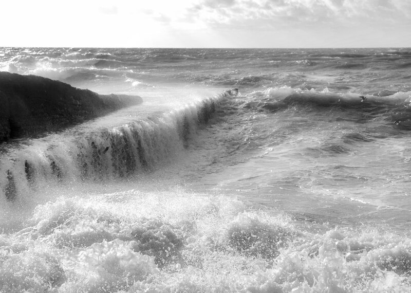 Waves Crashing on Rocks — Black, Dramatic, Photograph, Ocean, Bird