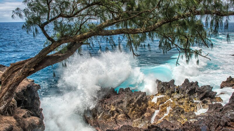 Waves Crashing on Rocks — Blue, Dramatic, Afternoon, Photograph, Tree, Ocean