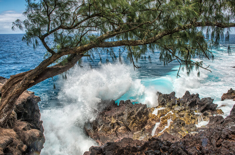 Waves Crashing on Rocks — Blue, Dramatic, Afternoon, Photograph, Tree