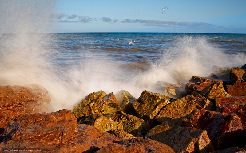 Waves Crashing on Rocks — Blue, Dramatic, Sunset, Photograph, Ocean, Birds
