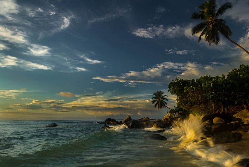 Waves Crashing on Rocks — Blue, Dramatic, Sunset, Photograph, Palm Tree