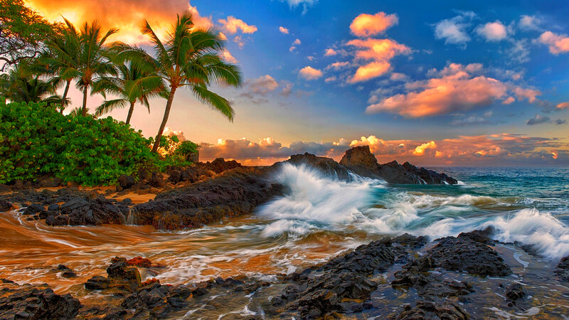 Waves Crashing on Rocks — Blue, Dramatic, Sunset, Photograph, Palm Trees