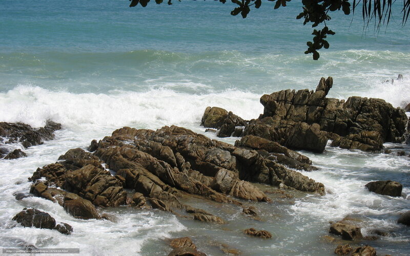 Waves Crashing on Rocks — Blue, Dynamic, Afternoon, Photograph, Ocean, Leaves