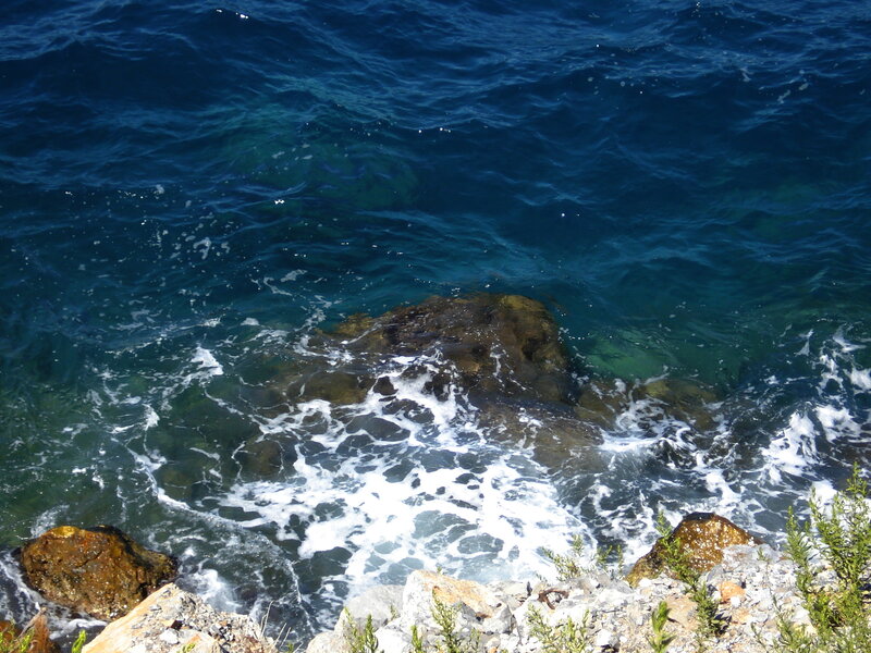 Waves Crashing on Rocks — Blue, Dynamic, Afternoon, Photograph, Plants