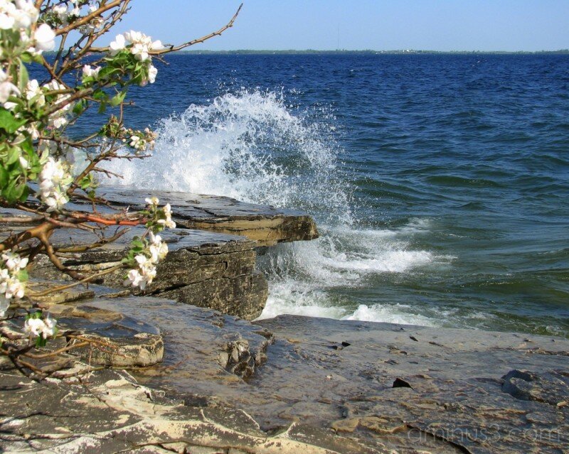 Waves Crashing on Rocks — Blue, Dynamic, Spring