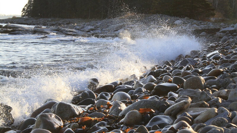 Waves Crashing on Rocks — Gray, Dramatic, Sunset, Photograph, Ocean, Trees