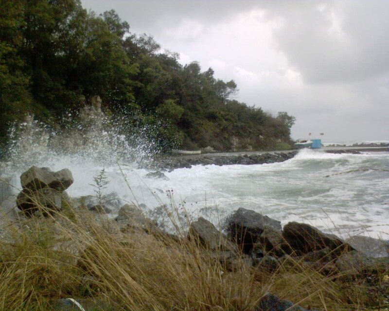 Waves Crashing on Rocks — Green, Dramatic, Photograph, Trees