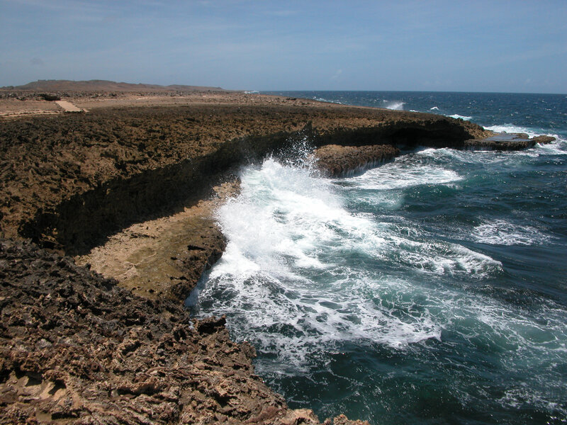 Waves crashing on rocky coast