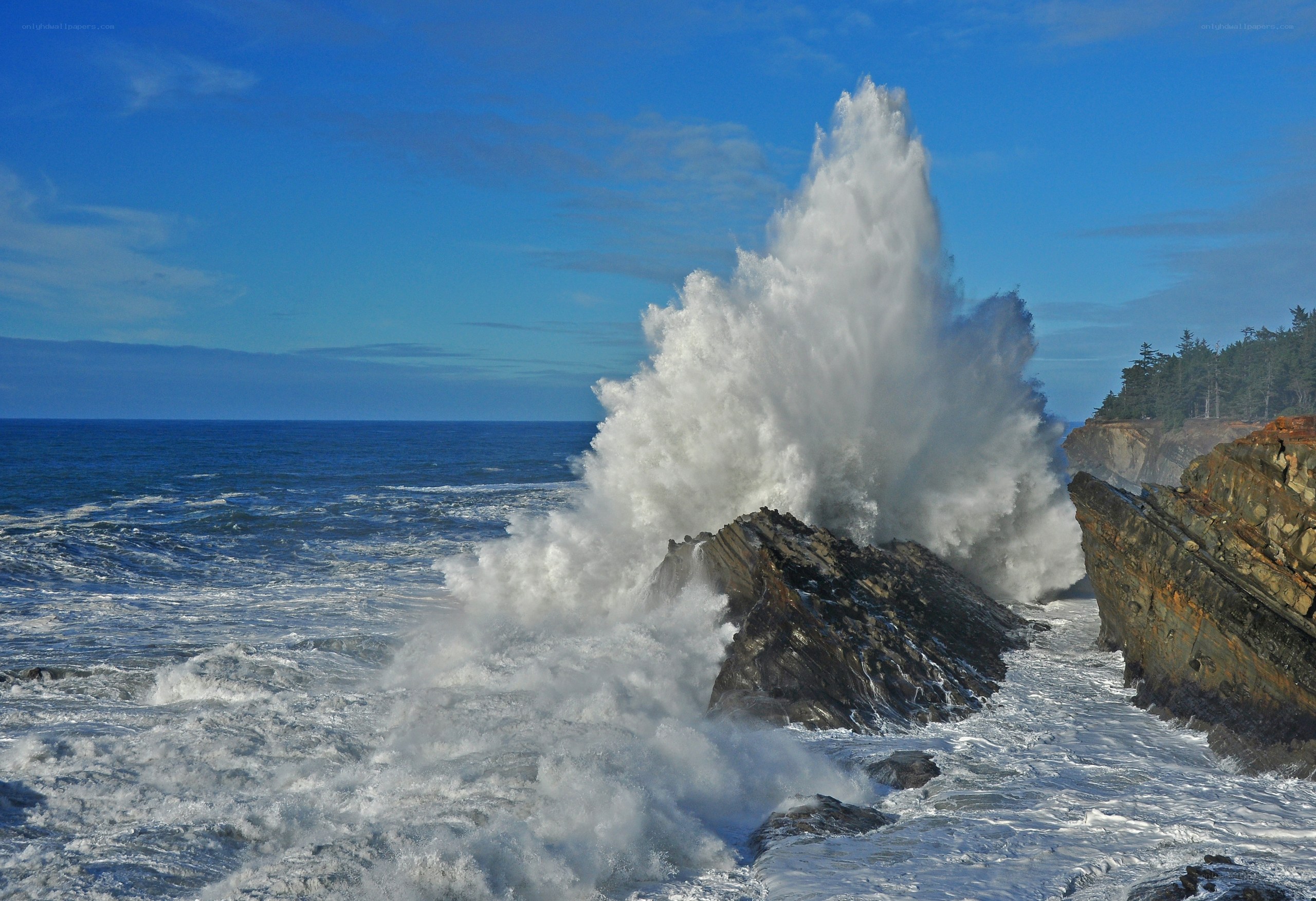 Waves crashing on rocky coast