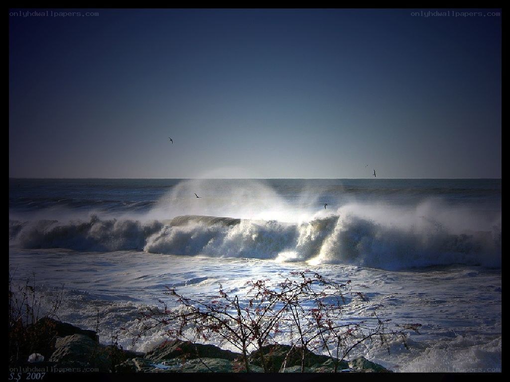 Waves crashing on rocky shore