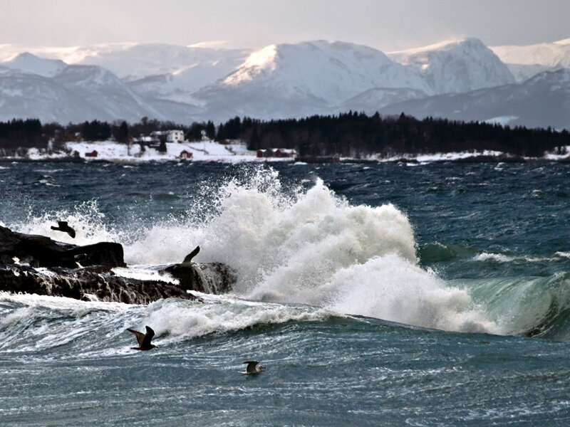 Waves crashing on rocky shore