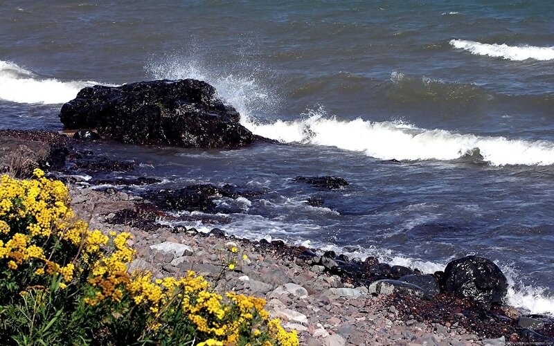 Waves crashing on rocky shore