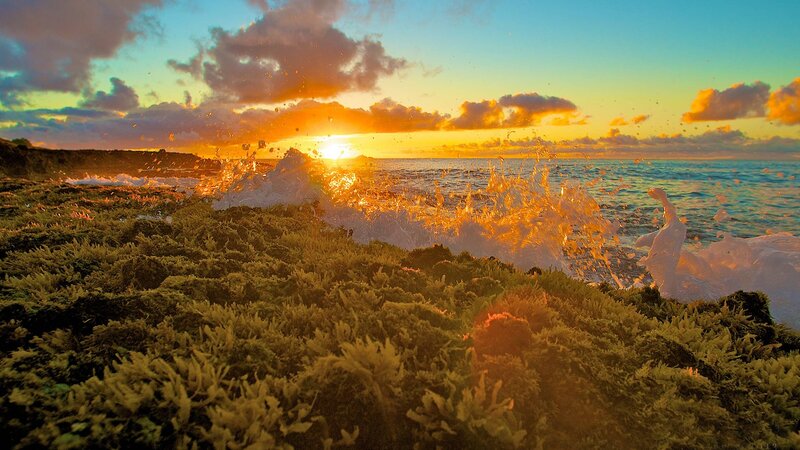 Waves Crashing on Shore — Orange