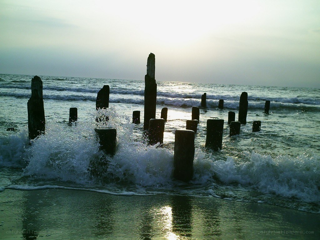 Waves crashing on wooden posts