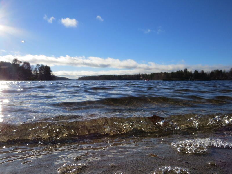 Waves on a Lake Shore