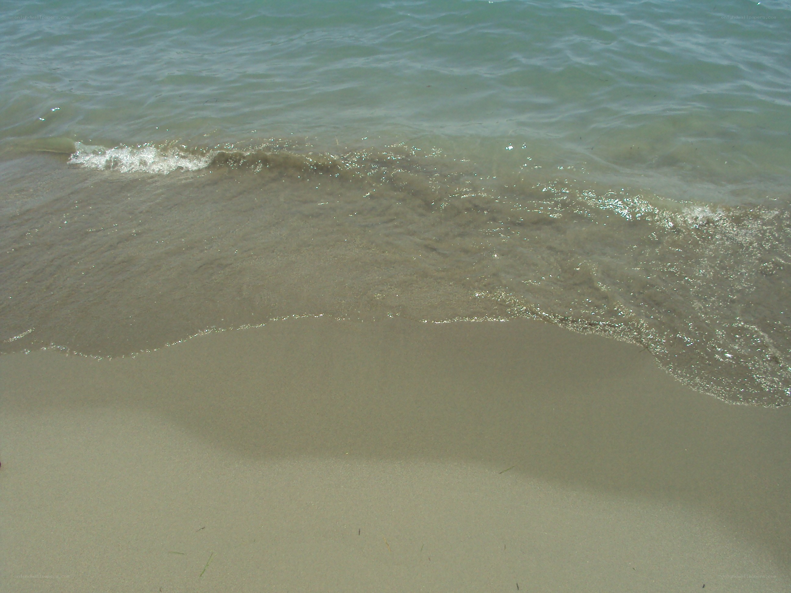 Waves on a sandy beach