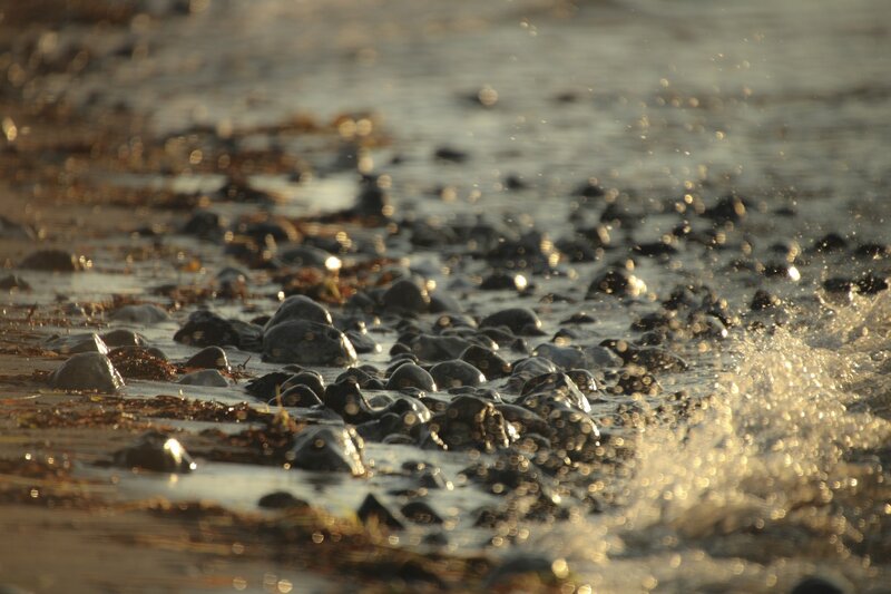 Waves on Rocky Shore — Brown