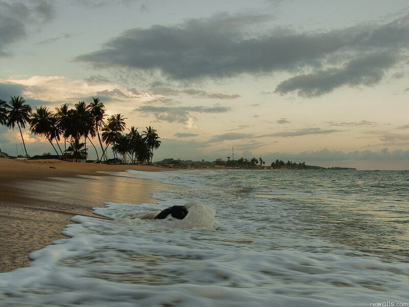 Waves on Sandy Beach — Beige, Serene